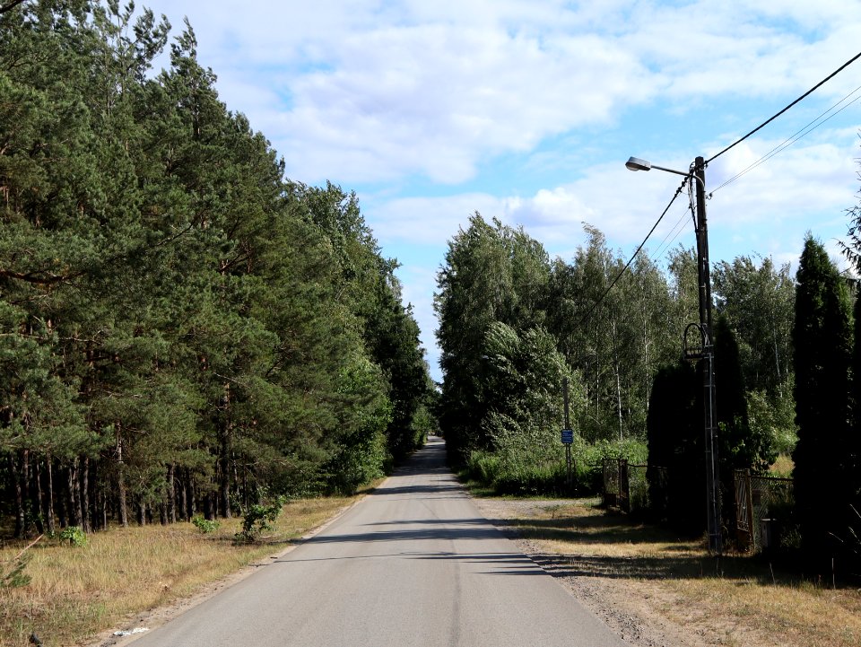 2019_Warszawa_Kroczewska