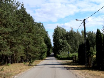 2019_Warszawa_Kroczewska