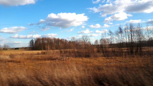 20190312_153911_Masovian_Voivodeship,_Poland_2019