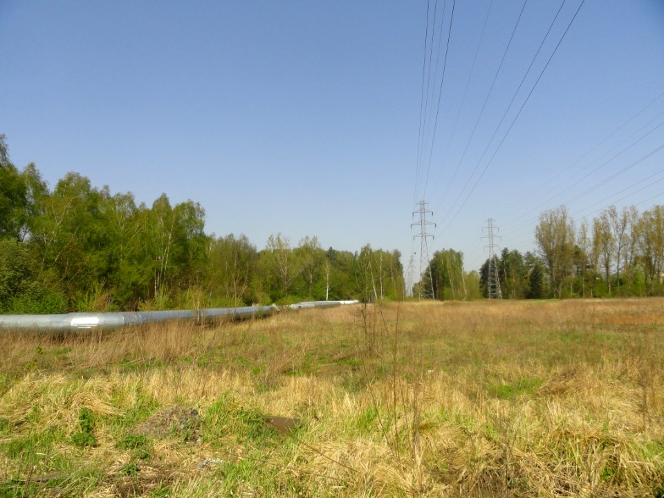 2019_Warszawa_Gwarków,_otoczenie