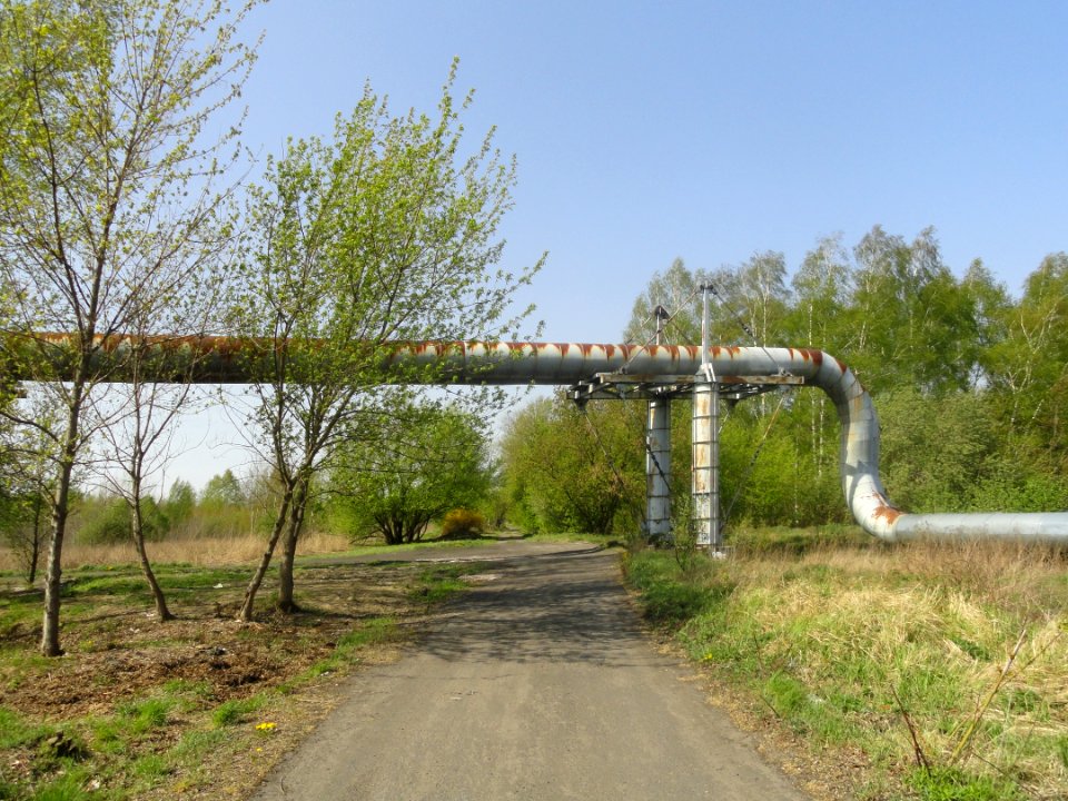 2019_Warszawa_Gwarków,_2
