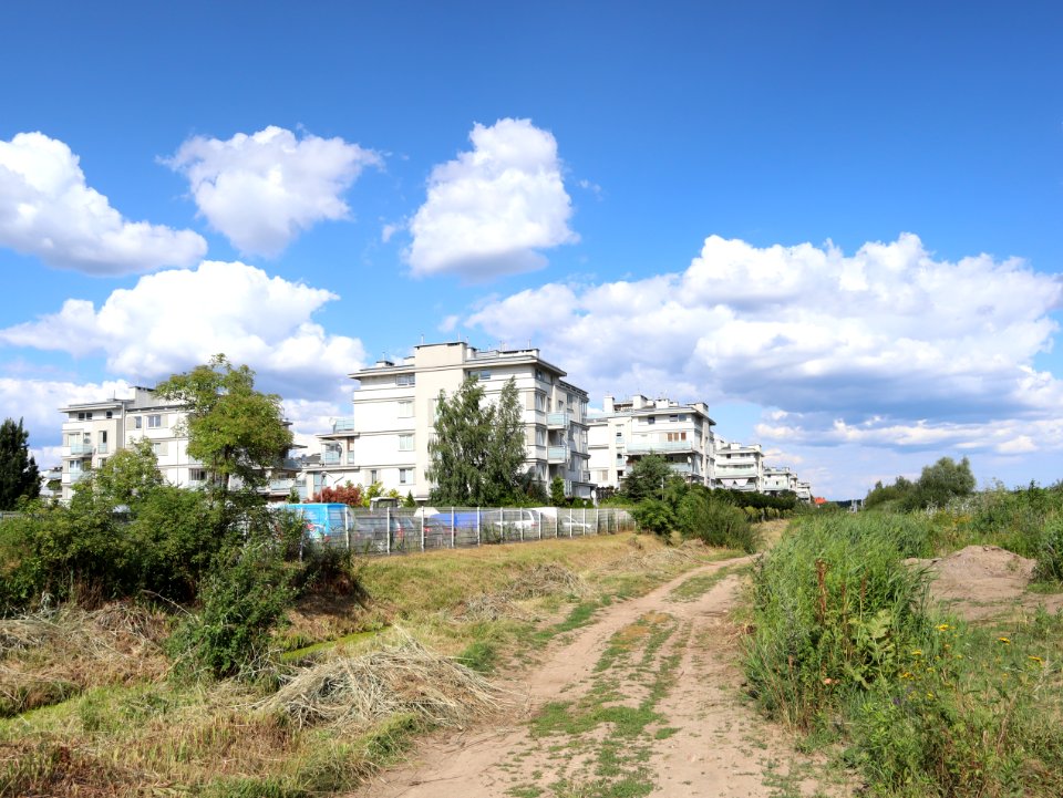 2019_Warszawa_Grodzisk,_zabudowa,_1
