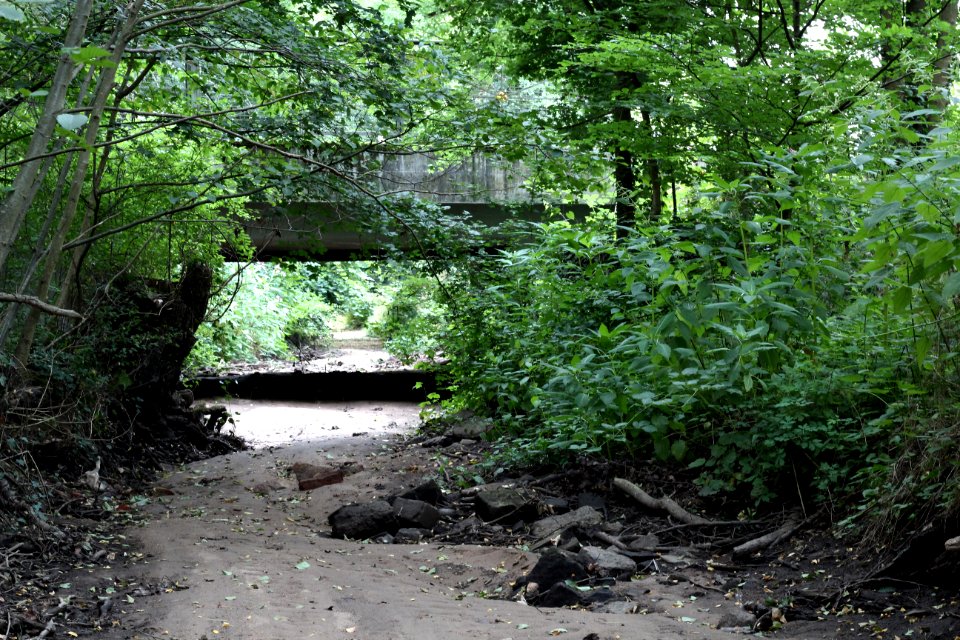 2019_Juli_Hegbach_bei_Mörfelden