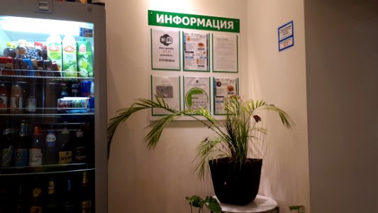 20190219_110803_February_2019_in_Moscow