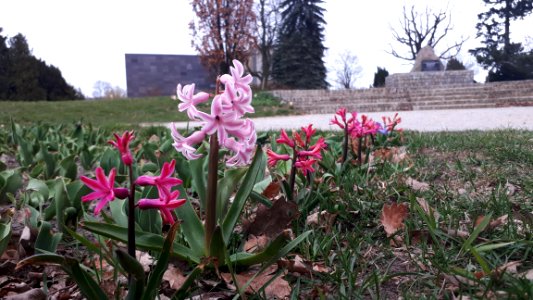 20190406_183135_April_2019_in_Łódź