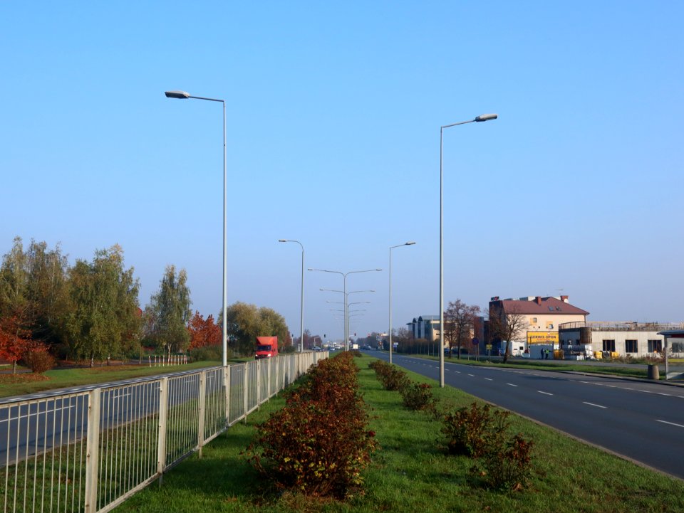 2019_Warszawa_Drewny-Zapłocie