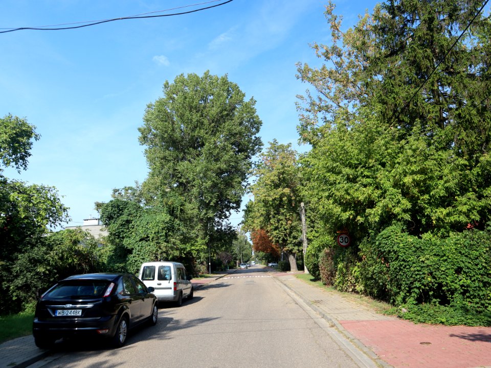 2019_Warszawa_Farysa,_1