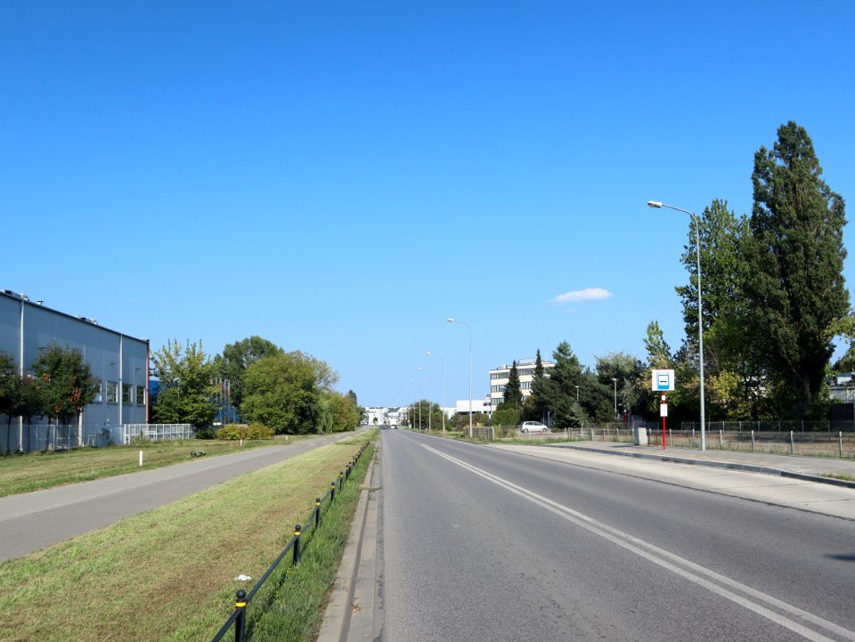 2019_Warszawa_Daniszewska