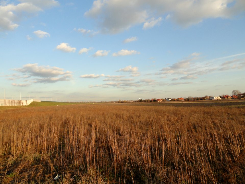 2019_Warszawa_Janka_Muzykanta,_otoczenie