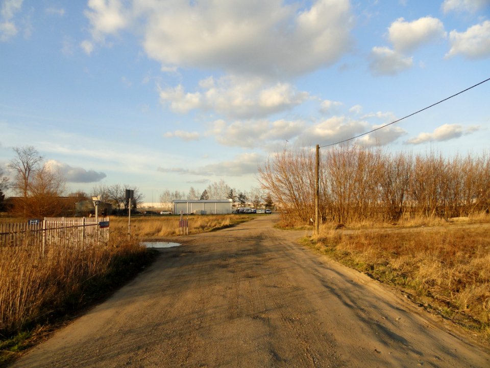2019_Warszawa_Janka_Muzykanta,_2
