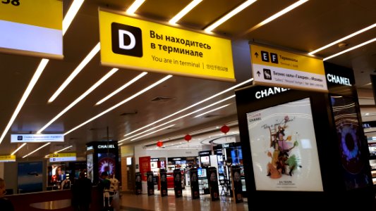 20190221_160724_Sheremetyevo_Airport_terminal_D_February_2019