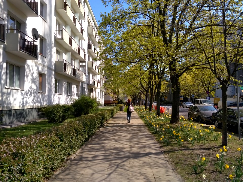 2019_Warszawa_Dubois,_chodnik