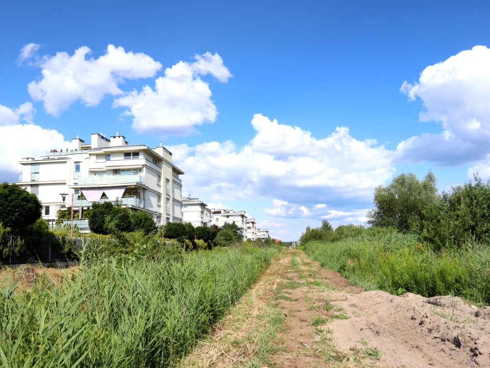 2019_Warszawa_Grodzisk,_zabudowa,_2