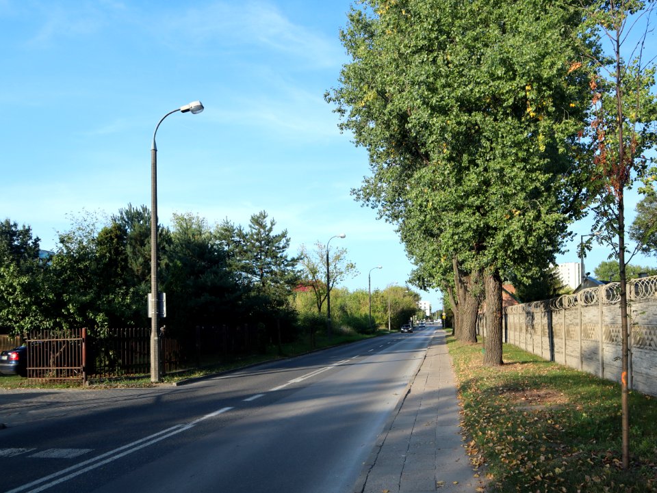 2019_Warszawa_Dorodna