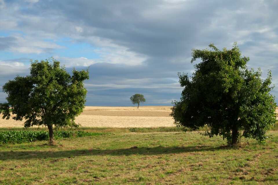 Landscape field seasons