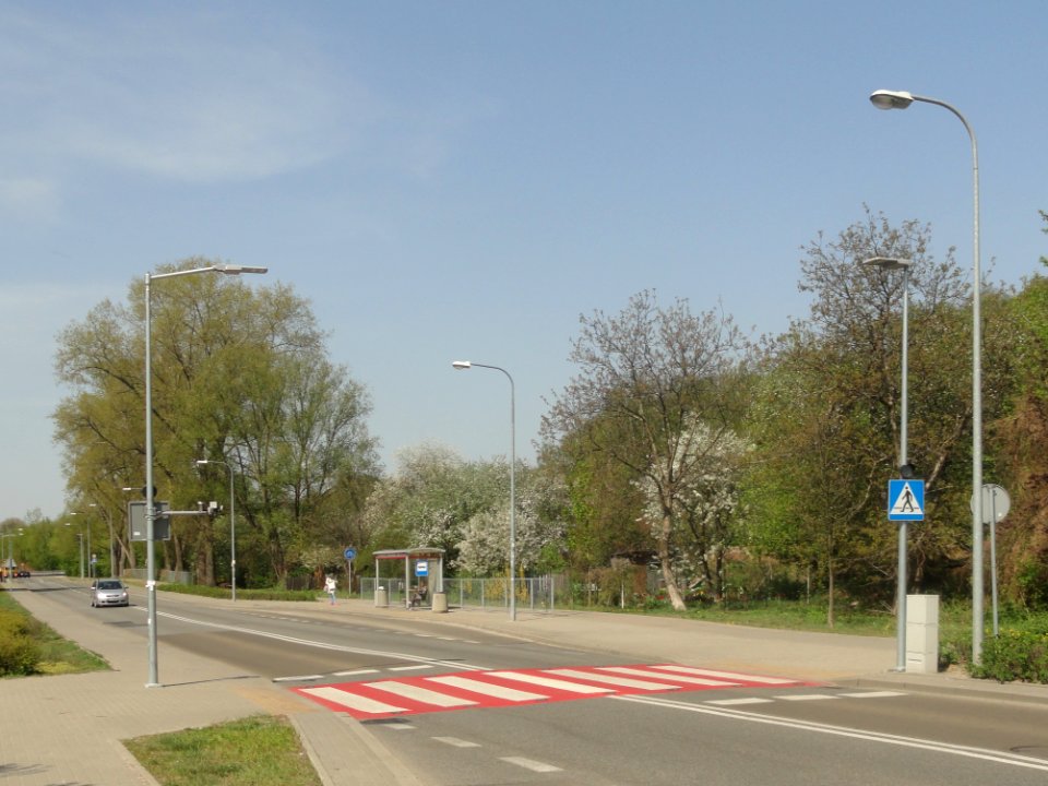 2019_Warszawa_Makowska,_przejście_dla_pieszych