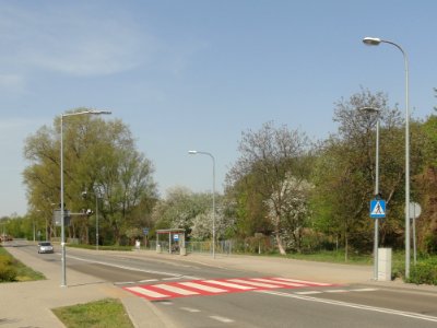 2019_Warszawa_Makowska,_przejście_dla_pieszych