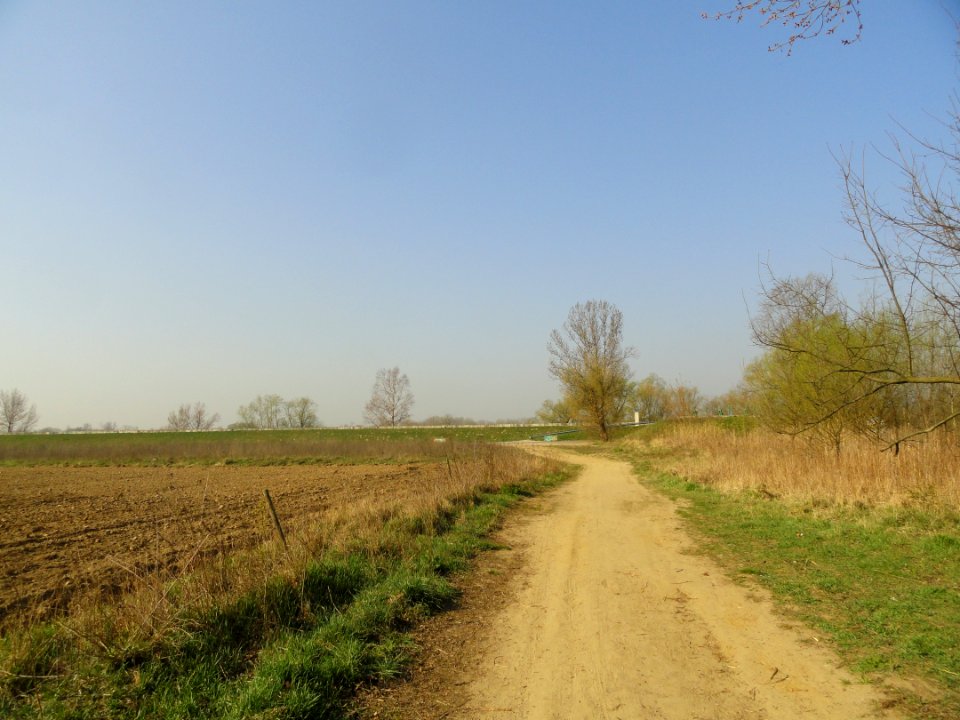 2019_Warszawa_Aluzyjna,_2