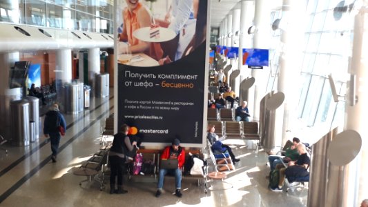20190218_Sheremetyevo_Airport_terminal_D_February_2019