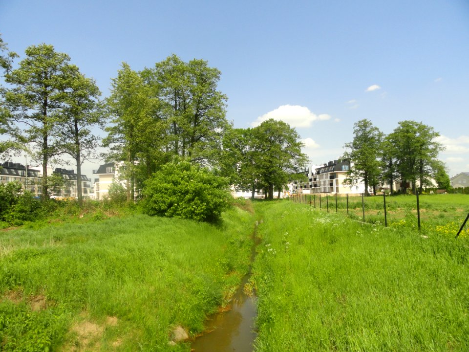 2019_Warszawa_Nowy_Kanał