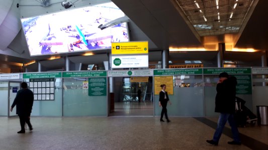 20190221_160044_Sheremetyevo_Airport_terminal_D_February_2019