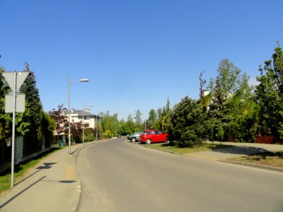 2019_Warszawa_Jesiennych_Liści