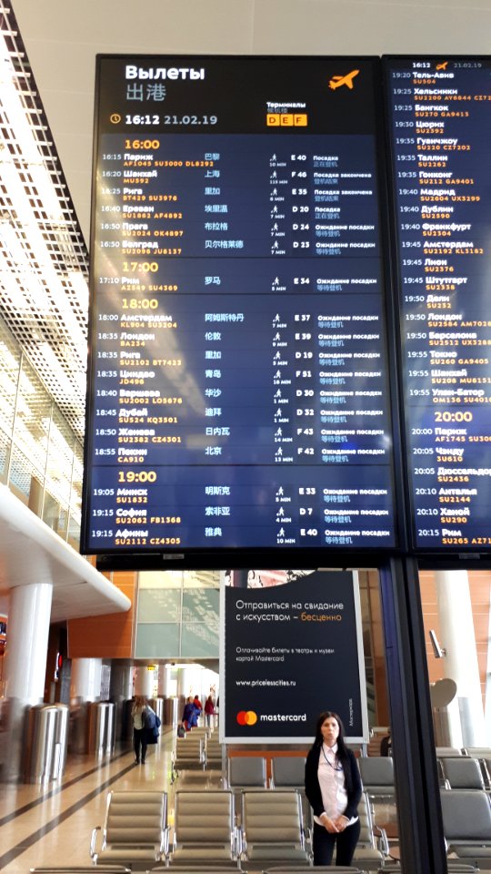 20190221_161207_Sheremetyevo_Airport_terminal_D_February_2019