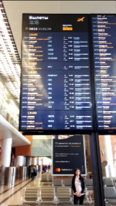 20190221_161207_Sheremetyevo_Airport_terminal_D_February_2019