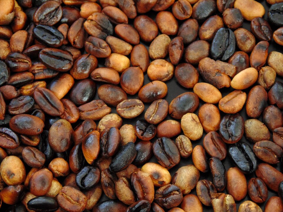 Coffee bean roasted roast