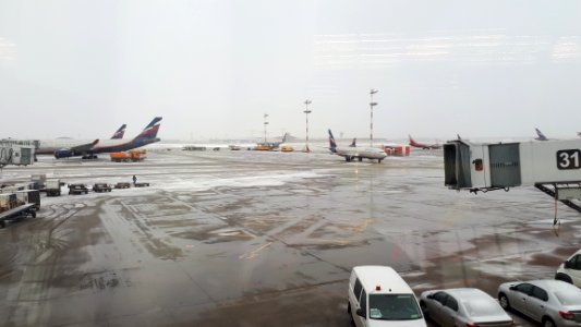 20190221_160947_sheremetyevo_airport