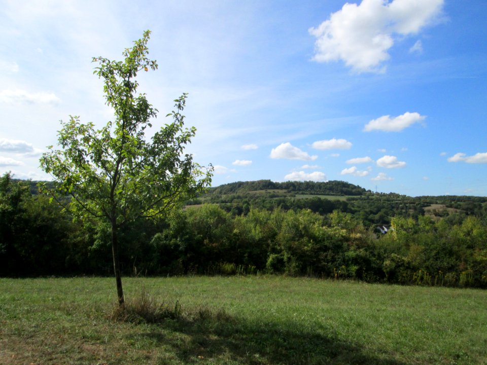 20190906Streuobstwiese_Fechingen1