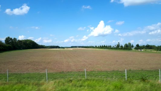 20190721_154037_Brandenburg_Germany_July_2019
