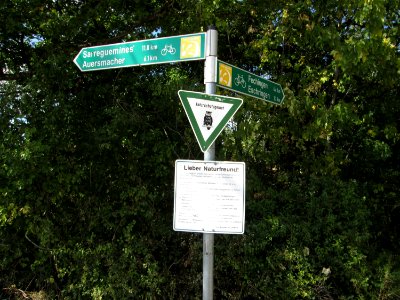 20190906Birzberg