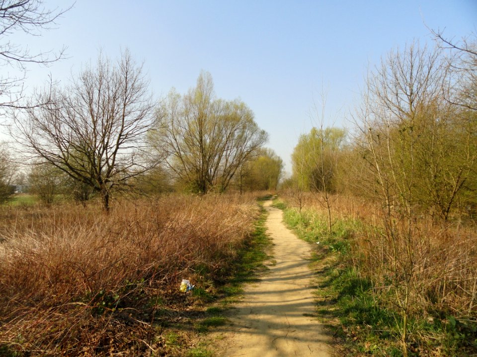 2019_Warszawa_Aluzyjna,_1