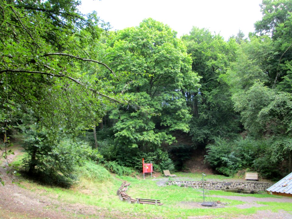 20190811Maischquelle1