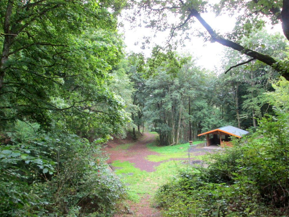20190811Maischquelle3
