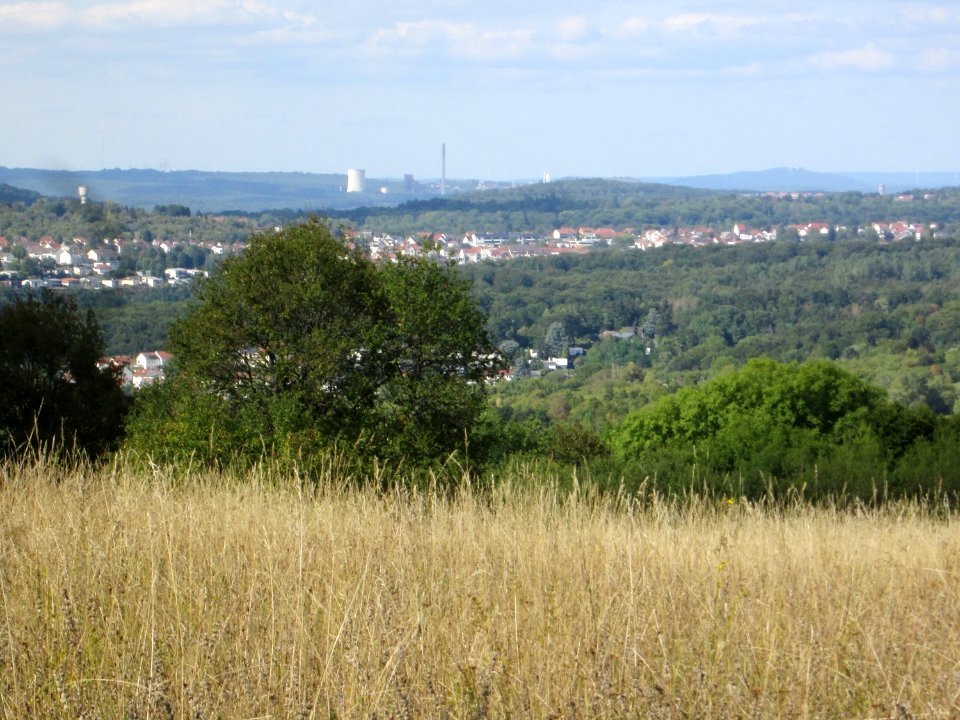20190906Bischmisheim3
