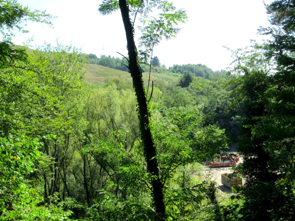 20190904Altes_Werk_und_Halbergweiher3