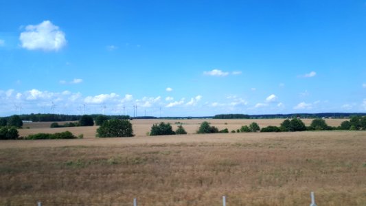 20190721_154605_Nature_Brandenburg_Germany_July_2019