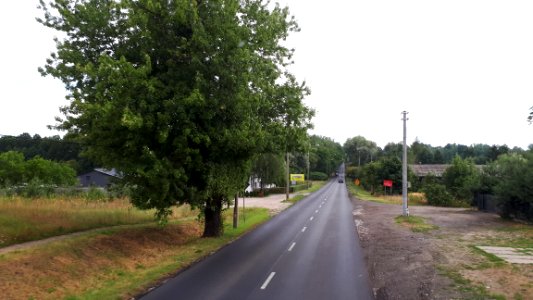 20190721_090249_National_road_91_(Poland)