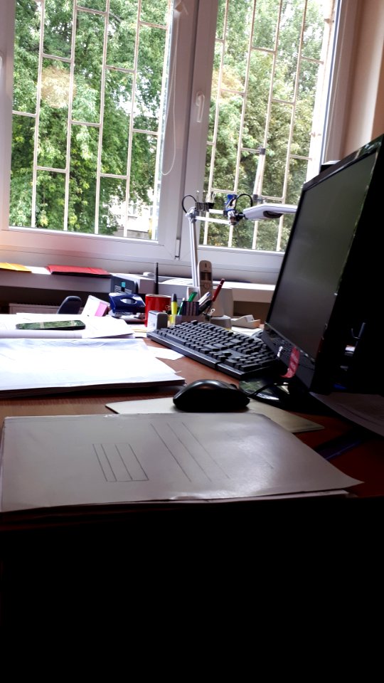 20190723_150154_July_2019_in_Łódź