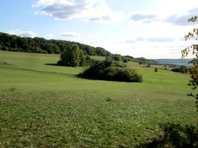20190906Wiese_Kleinblittersdorf2