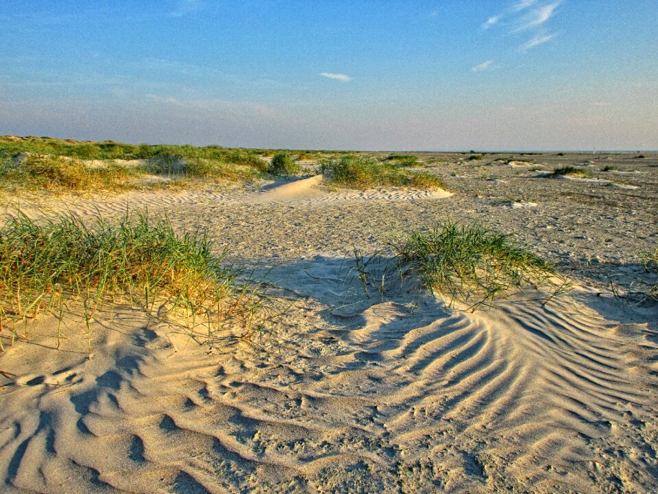 Dune beach north sea