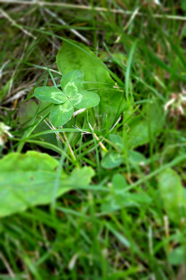 Meadow green symbol