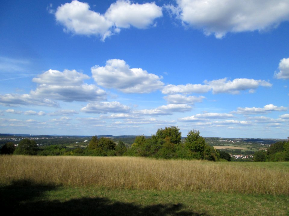 20190906Wiese_Birzberg1