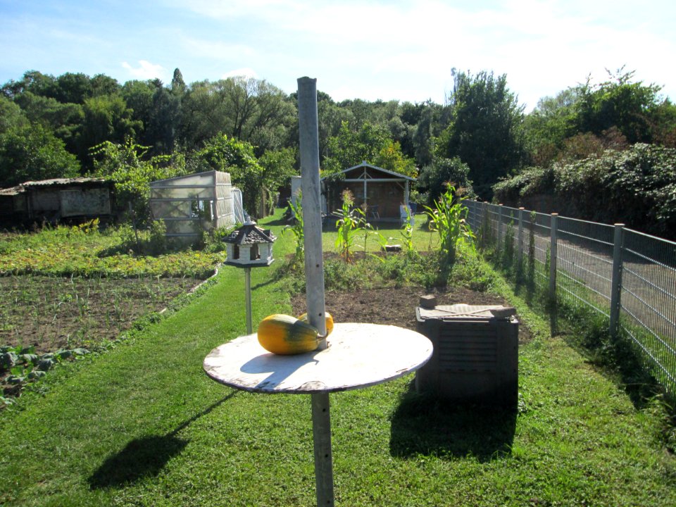 20190914Schrebergarten_Brebach1