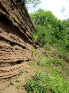 20190811Sedimentwand_Lavakaul4