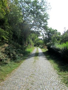 20190906Fechingen