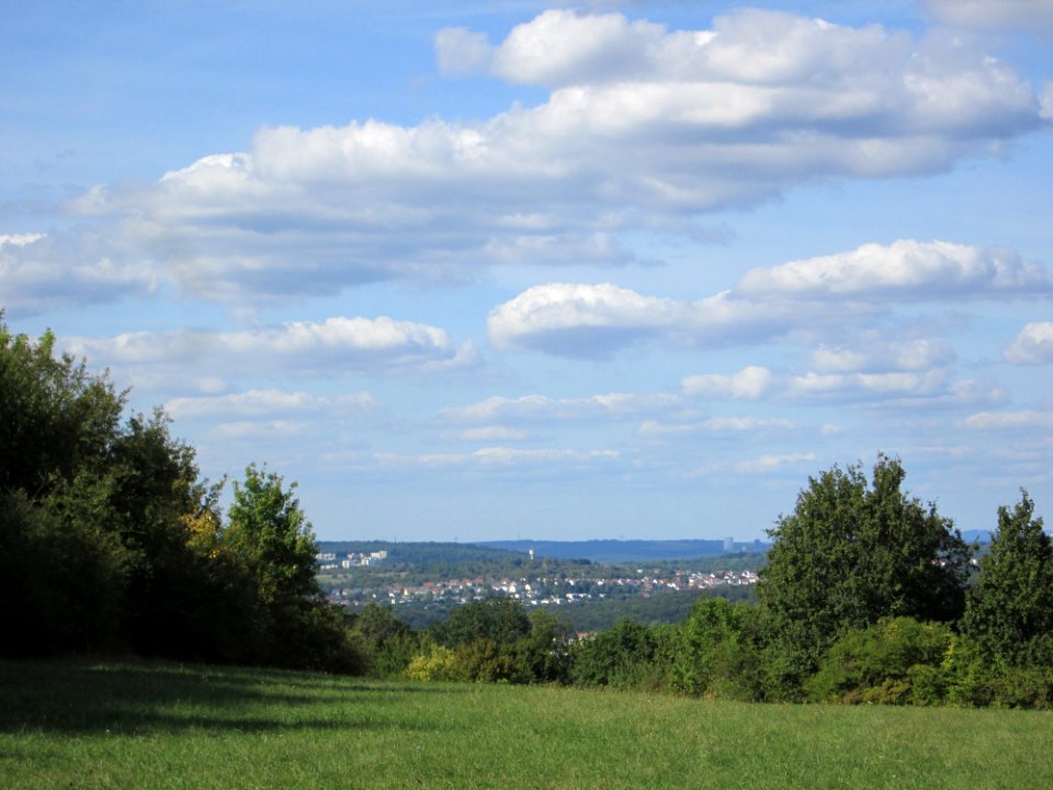 20190906Bischmisheim1