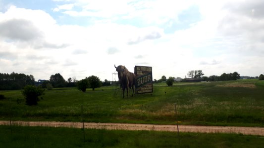 20190524_103857_Podlaskie_Voivodeship_May_2019